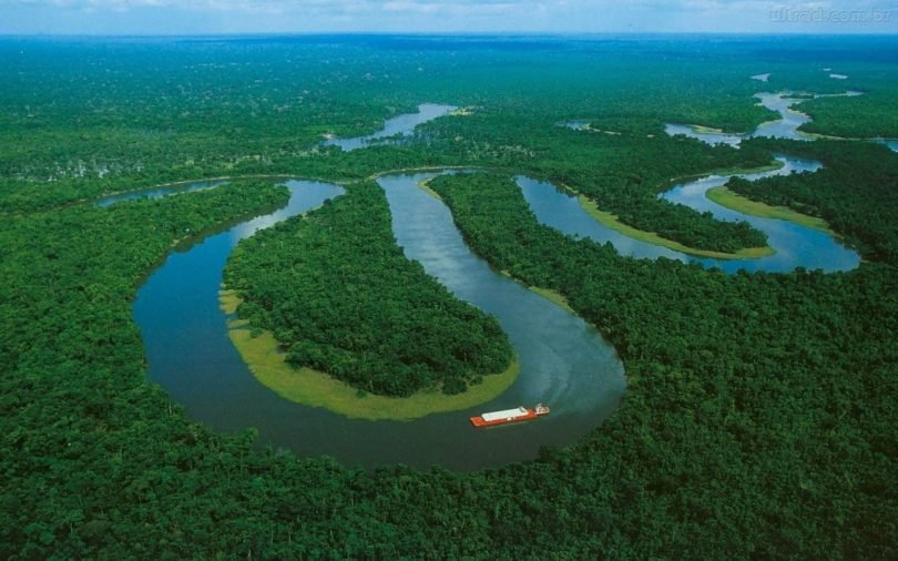 amazonia 810x506 - 6 Motivos para acreditar que a Floresta Amazônica é nossa