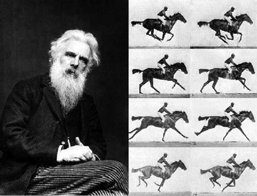 Eadweard Muybridge horse post - Google faz homenagem a Eadweard Muybridge