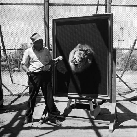 leaomgm6 - Como foi tirada a foto do leão da MGM?