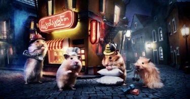 Crafted miniature town for online series HUNGRY HUNGRY HAMSTERS 5936987e82642  880 375x195 - Skate e Califórnia dos anos 70