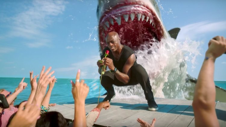 semana do tubarão cantor seal é comido - Semana do Tubarão: Cantor Seal é literalmente engolido!