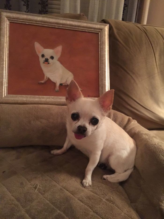 donos fizeram quadros de seus pets22 - Donos que fizeram quadros de seus pets