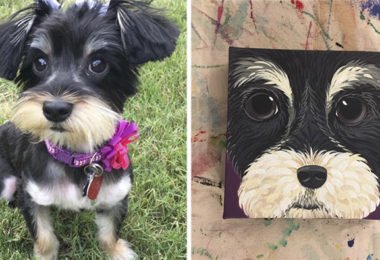 donos fizeram quadros de seus pets6 380x260 - Donos que fizeram quadros de seus pets