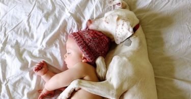 bebe e o cachorrinho 375x195 - Fotos incríveis de Jason Peterson #Parte 5
