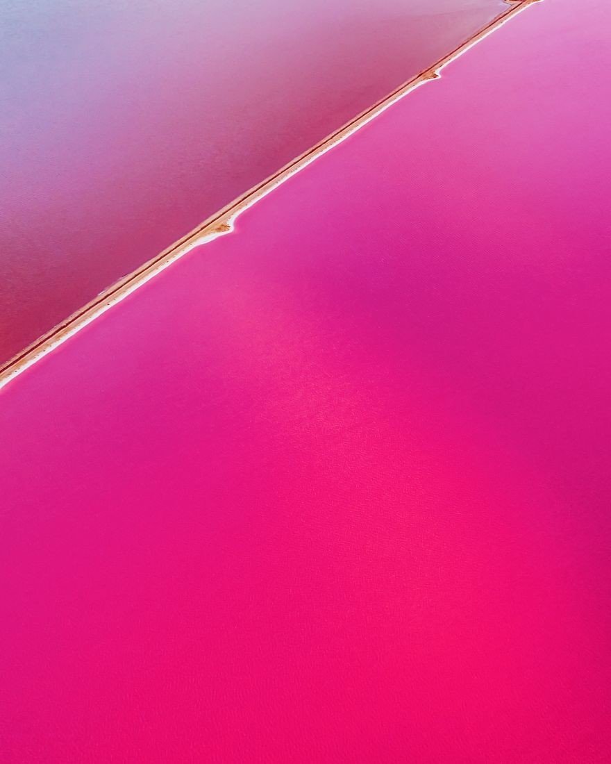 Magic pink lagoon in Western Australia 5c6df04d176ee  880 - Conheça a Lagoa Rosa Mágica da Australia