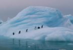 antartica esta entre o top 10 mais frios do mundo 639355 145x100 - Cientistas propõem pulverizar toneladas de água do mar congelada na Antártica