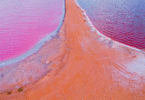 mar rosa 15 145x100 - Conheça a Lagoa Rosa Mágica da Australia