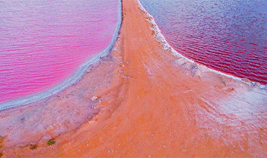 mar rosa 15 380x225 - Conheça a Lagoa Rosa Mágica da Australia