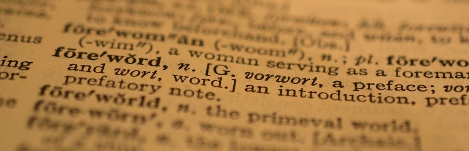 dicionario ler - Qual é a maior palavra do Inglês, do português e do mundo?